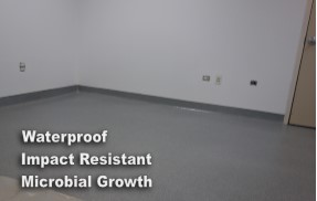 wall protection coating
